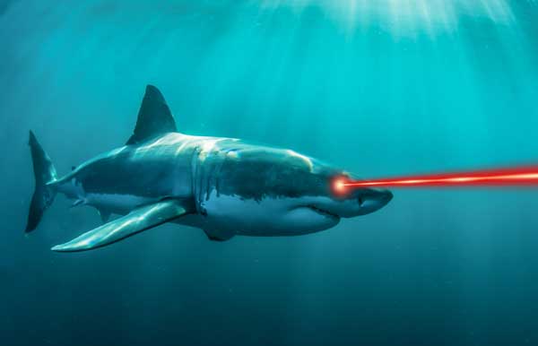 shark with frickin laser beams